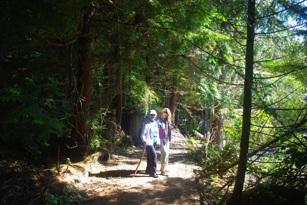 Wild Coast Chalets Port Renfrew Dış mekan fotoğraf