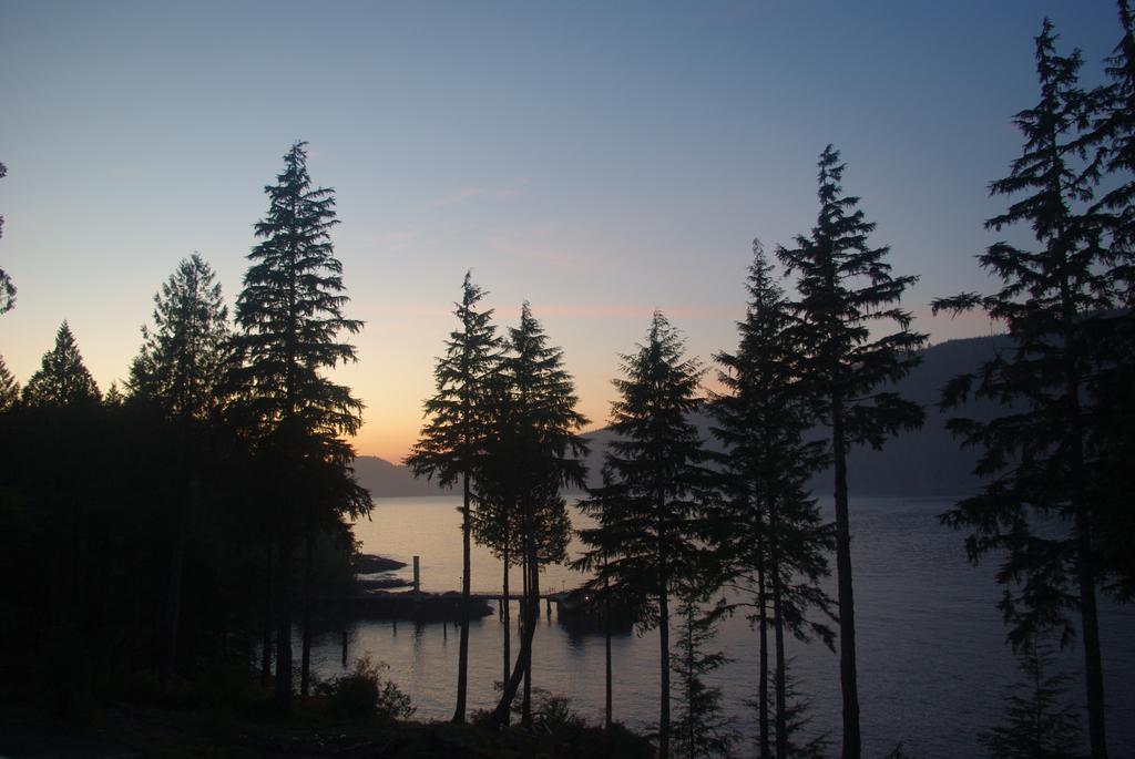Wild Coast Chalets Port Renfrew Dış mekan fotoğraf